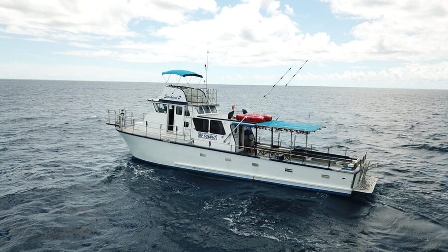 3-Hour Honolulu Bottom Fishing Adventure - The Honolulu view is part of the experience