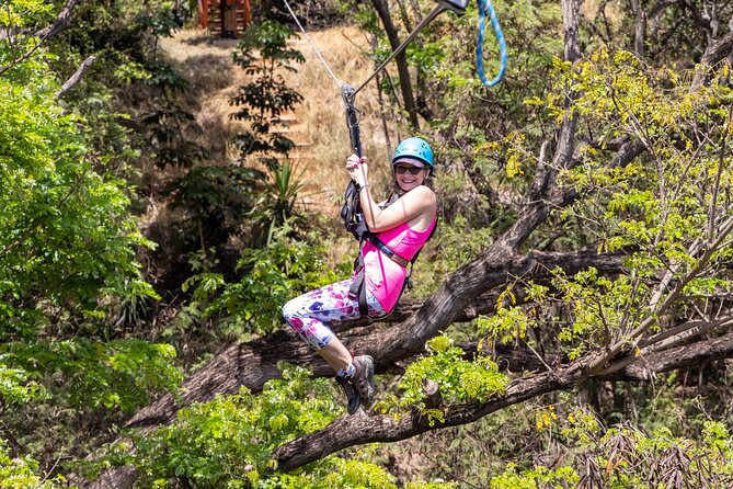 3 Zipline Adventure with Waikiki Transportation - From Waikiki to Coral Crater Adventure Park