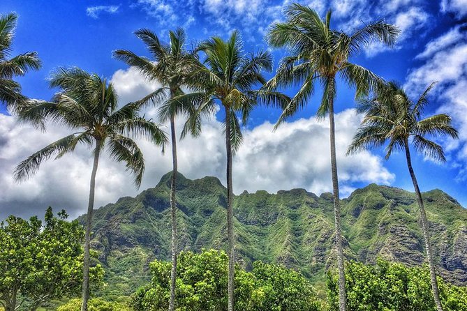 4 Hour Half Day Island Jeep Tour - Makai Research Pier and Makapu‘u Beach: quieter stops to finish