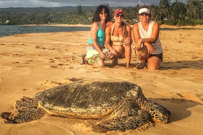 8 Hour Circle Island Jeep Tour - Starting in Waikiki at 9 a.m.