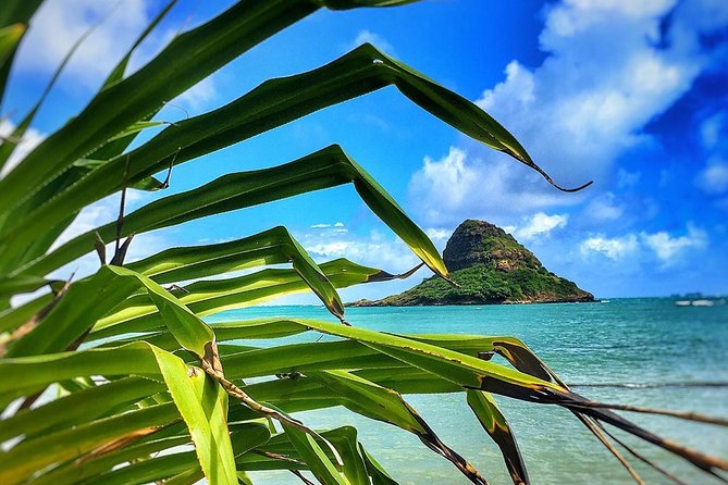8 Hour Circle Island Jeep Tour - Haleiwa, local shopping, and the final stops