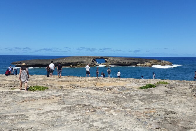 8-Hour Luxury Four Door Convertible Tour of Oahu's South and North Shores - Ko Hana rum and Green World coffee