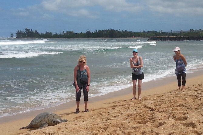 8-Hour Luxury Four Door Convertible Tour of Oahu's South and North Shores - Turtle Bay, Laie Point, and the eastern shore