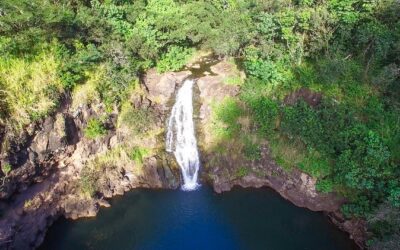 All Inclusive Ultimate Circle Island Tour, Waimea Falls & Lunch