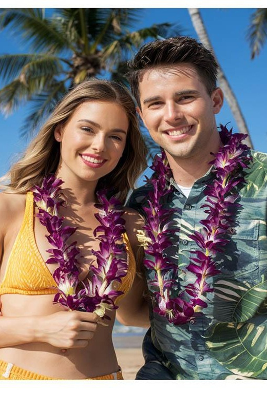 Arrival Lei Greeting --HNL to Waikiki Private Transfer - What you will not get along the way