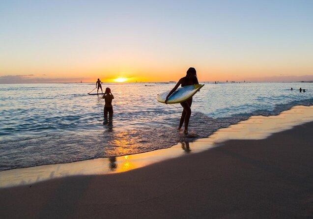 Arrival Transfer: Airport Shuttle Honolulu and Waikiki or Cruise Terminal - Key points to know before booking
