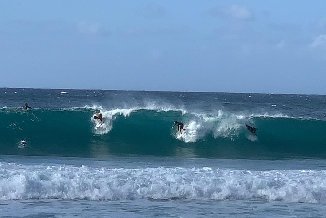 Beaches, Food & Aloha: Private Oahu Tour - North Shore surf beaches and sea turtles