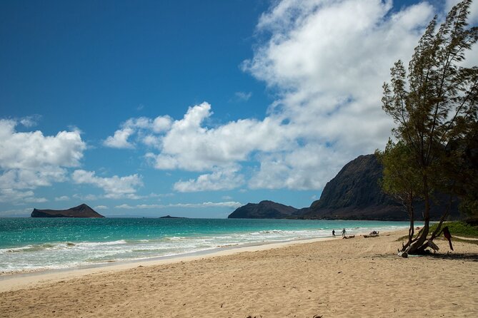 Best Of Oahu: Grand Circle Island Small Group Tour From Waikiki - Hukilau Marketplace is the practical lunch break