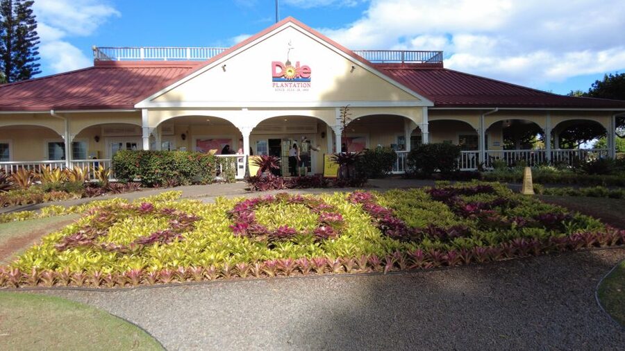 Best of Oahu in One Day - The east coast’s ocean views and Byodo-In Temple