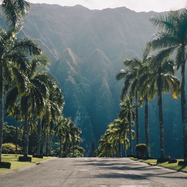 Best of Oahu in One Day - Dole Plantation and the coffee farm