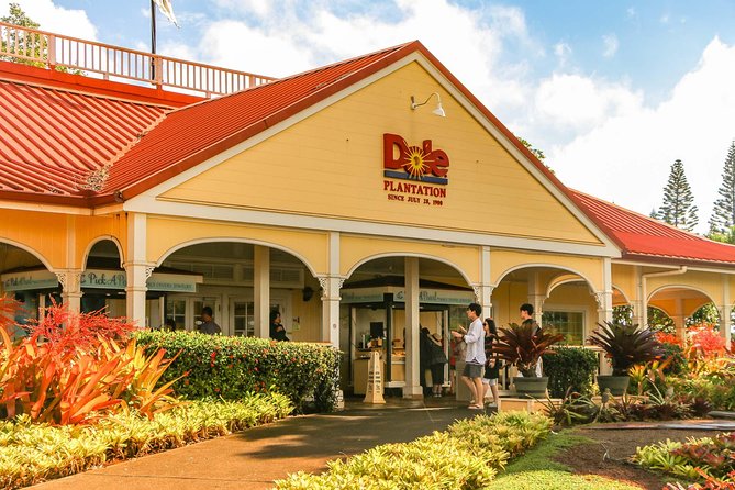 Best of Oahu: Pearl Harbor & Oahu Circle Island Tour from Waikiki - Nuʻuanu Pali gives you the best high viewpoint
