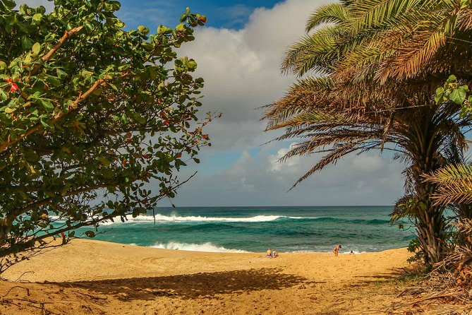 Best of Oahu: Pearl Harbor & Oahu Circle Island Tour from Waikiki - Is $145 a fair price?