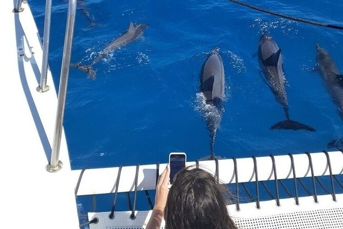 Best Waikiki Whale Watching in Honolulu: Whales Guaranteed - Crew, music, and the mood onboard