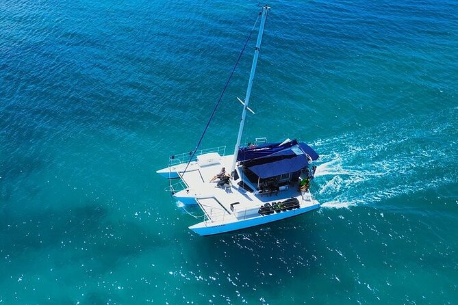 Best Waikiki Whale Watching in Honolulu: Whales Guaranteed - Who will enjoy this Waikiki whale cruise?