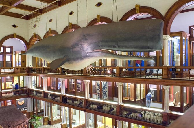 Bishop Museum General Admission Ticket - Key points to know before you go