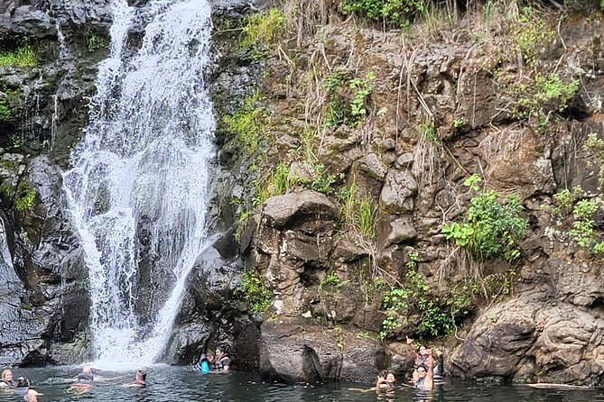 Byodo Temple and Waimea Botanical Garden Tour - Waimea Valley and the waterfall