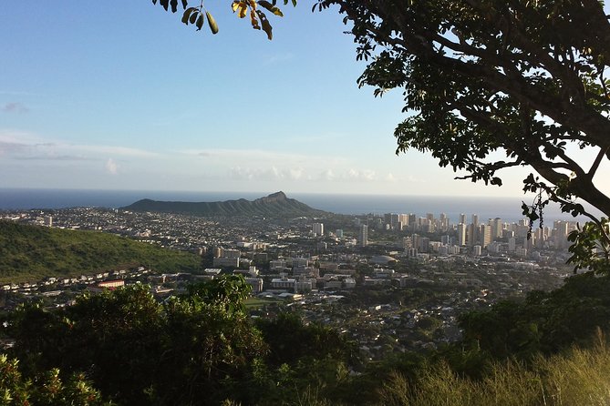Circle Island 8hr Private Small Group Tour - What this private Oahu tour does best