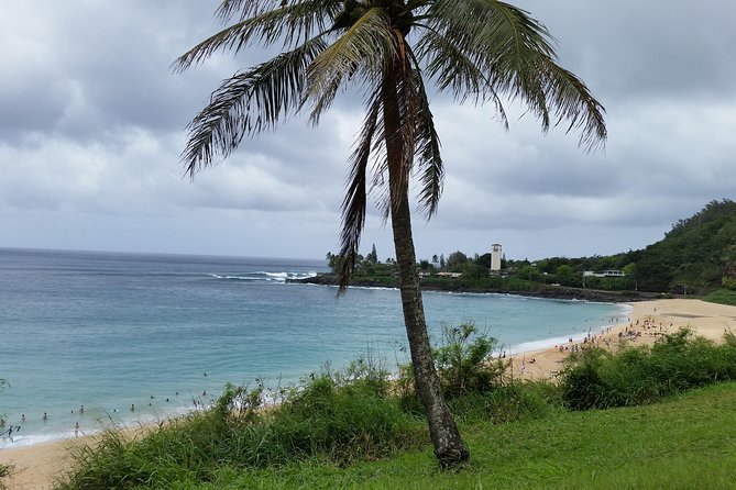 Circle Island 8hr Private Small Group Tour - North Shore surf, Waimea Falls, and lunch