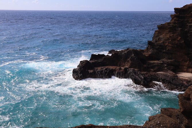 Circle Island Tour with Snorkeling & Turtles - Shark’s Cove: snorkeling with a time limit
