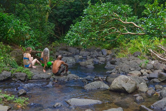 Custom Island Adventure Tours - A private Oahu day instead of a fixed bus route