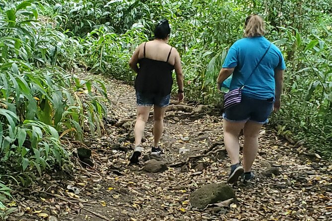 Custom Island Adventures Tour - Waterfalls and walks require honest planning