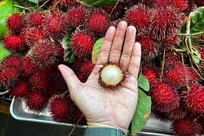 Da Local's Food Tour of Oahu - Group size, driving, and the outdoor setup