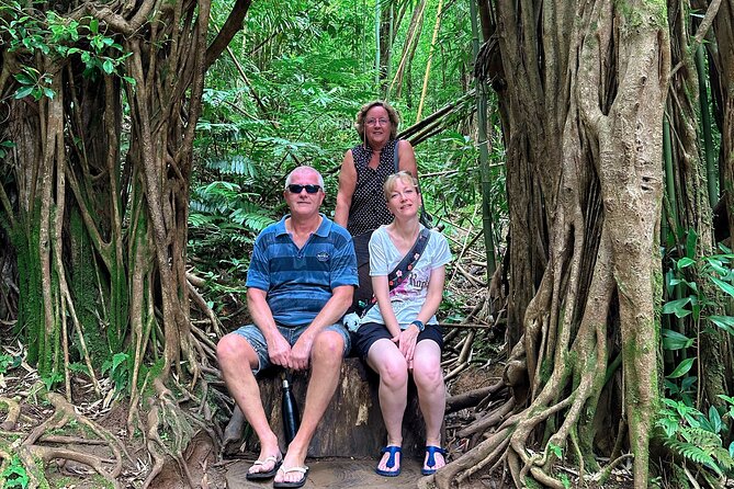 Diamond Head and Manoa Falls Hike and Adventure Tour - Manoa Falls and a family-friendly forest walk