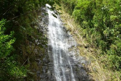Diamond Head and Manoa Falls Hike and Adventure Tour