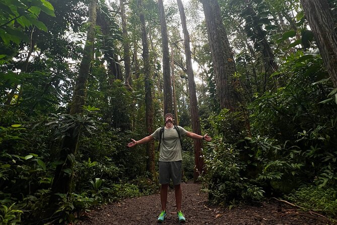 Diamond Head and Manoa Falls Hike and Adventure Tour - Snacks, drinks, and the breakfast question
