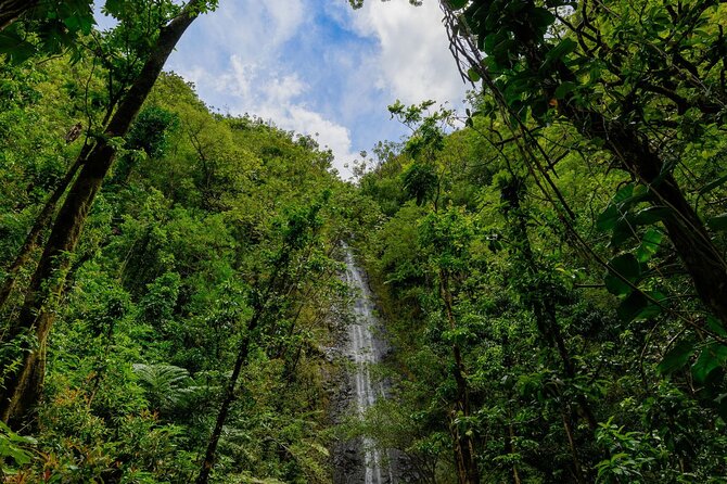 Diamond Head and Manoa Falls Hike and Adventure Tour - Is $149 good value?