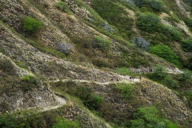 Diamond Head and Manoa Falls Hike and Adventure Tour - Who will enjoy this tour most?