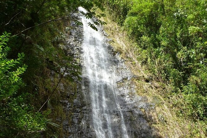 Diamond Head and Manoa Falls Hike and Adventure Tour - Diamond Head State Monument and its Waikiki views