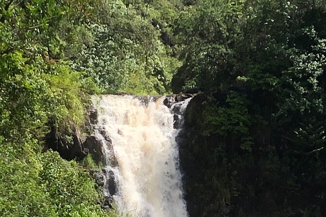 Diamond head crater trail , Sightseeing & South Side beach day - A guide who can shape the day