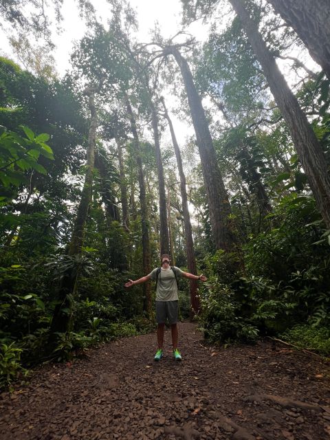 Diamond Head Manoa Falls - Key points to know before booking