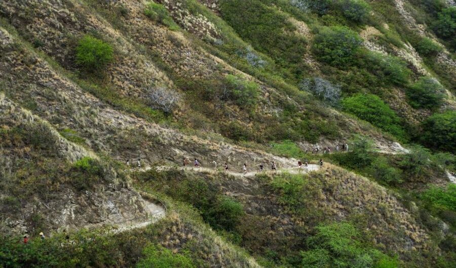 Diamond Head Manoa Falls - Who will enjoy this day most