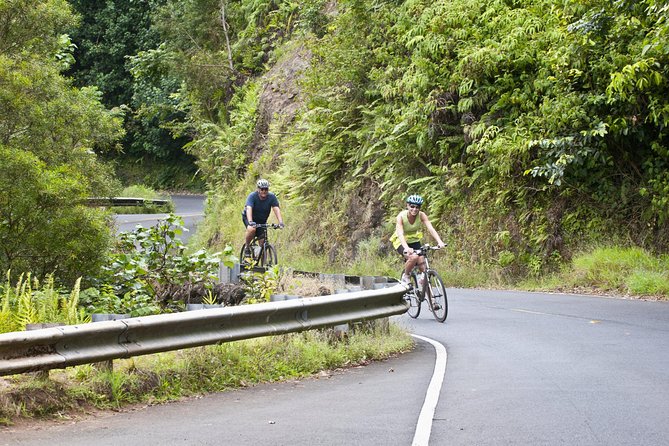 Downhill Bike and Ko'olau Waterfall Hike Tour - Key things to know before booking
