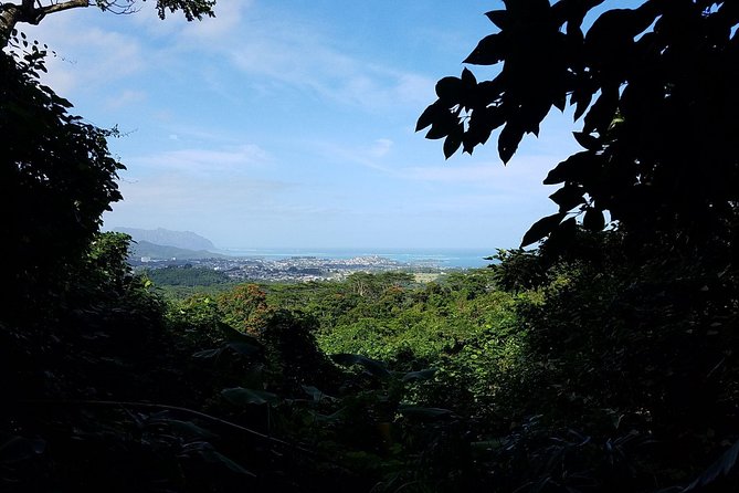 Downhill Bike and Ko'olau Waterfall Hike Tour - Gear, safety, and physical demands