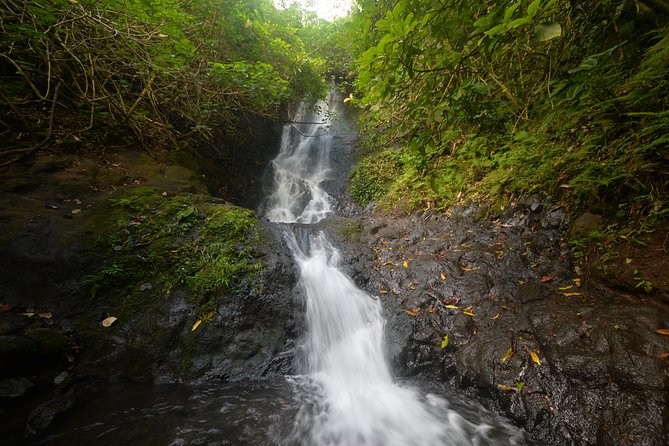 Downhill Bike and Ko'olau Waterfall Hike Tour - Is $196.64 a fair price?