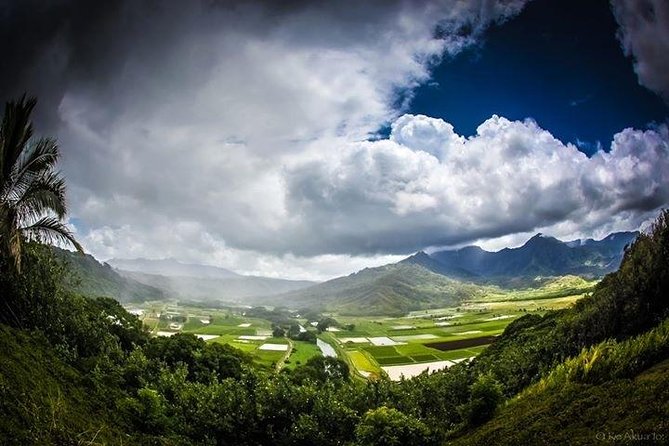 Eco-adventure friendly Aloha Island Tour - Why this Oahu route works in half a day