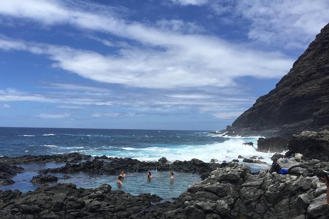 Eco-adventure friendly Aloha Island Tour - Turtles, surf, and the changing North Shore