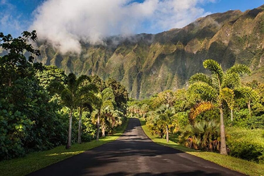 Explore Oahu in a Polaris Slingshot - Picking up at International Market Place