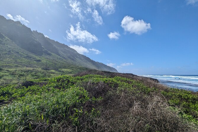 Famed North Shore Tour - Puaena Point: a calmer beach pause