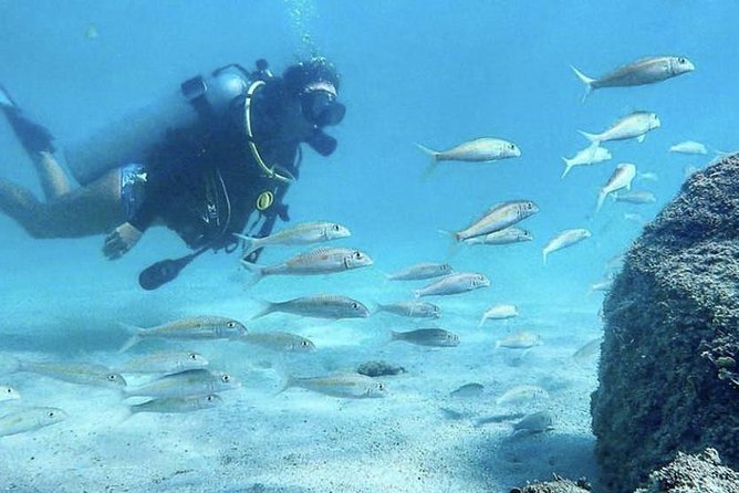 First-Time Scuba Diving in Honolulu + Free Videos - Building confidence in waist-deep water