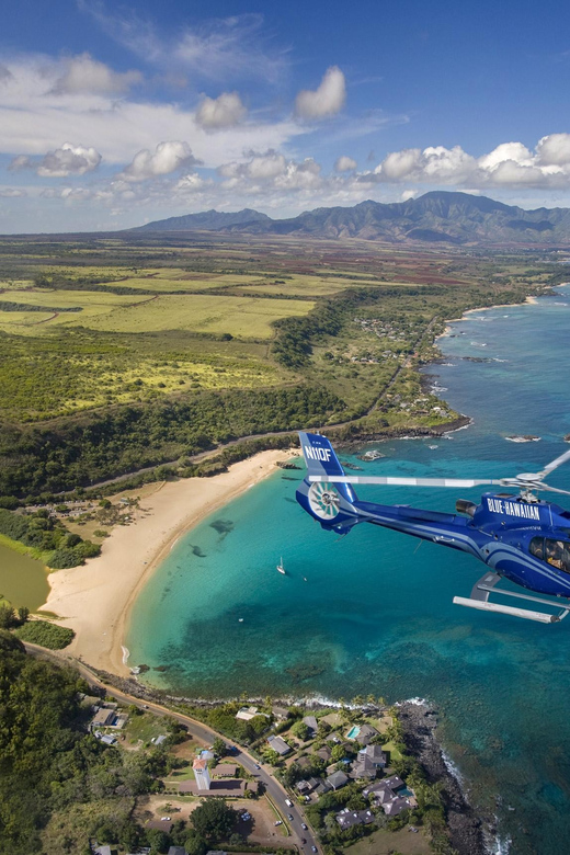 From Honolulu: Complete Oahu Island Helicopter Tour - Dole Plantation and the Waianae Mountains