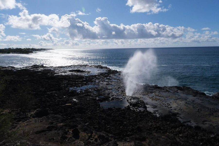 From Oahu: Kauai Waimea Canyon & Wailua River Tour - Opaeka‘a Falls and Kauai’s eastern side