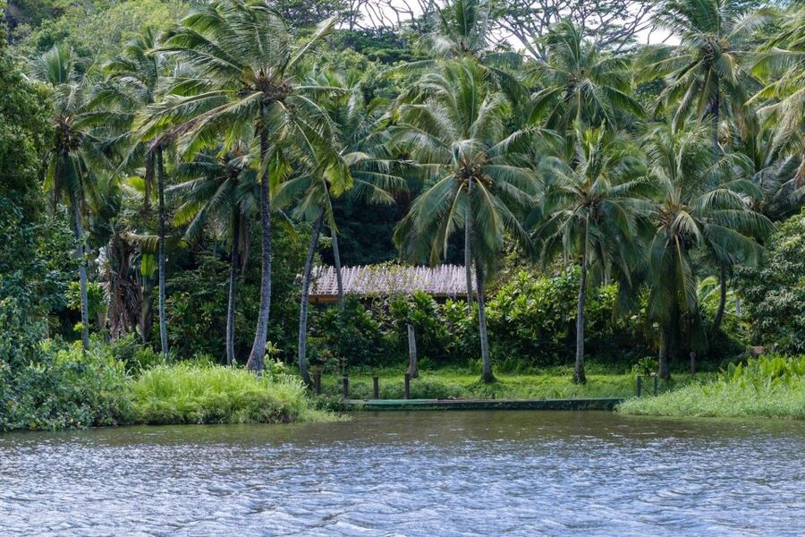 From Oahu: Kauai Waimea Canyon & Wailua River Tour - Cruising the Wailua River to Fern Grotto