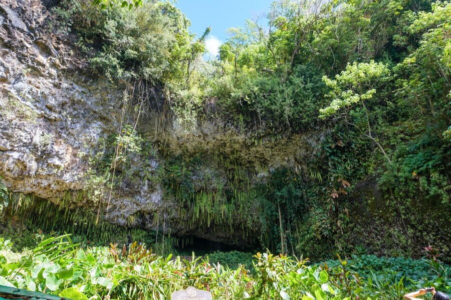 From Oahu: Kauai Waimea Canyon & Wailua River Tour - Kauaʻi Coffee Company and the south coast
