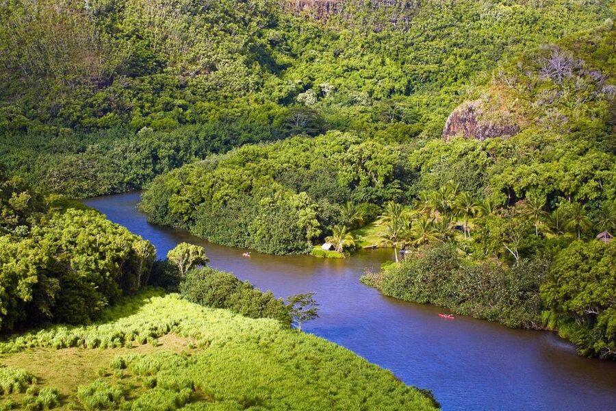 From Oahu: Kauai Waimea Canyon & Wailua River Tour - Waimea Canyon, the day’s main view