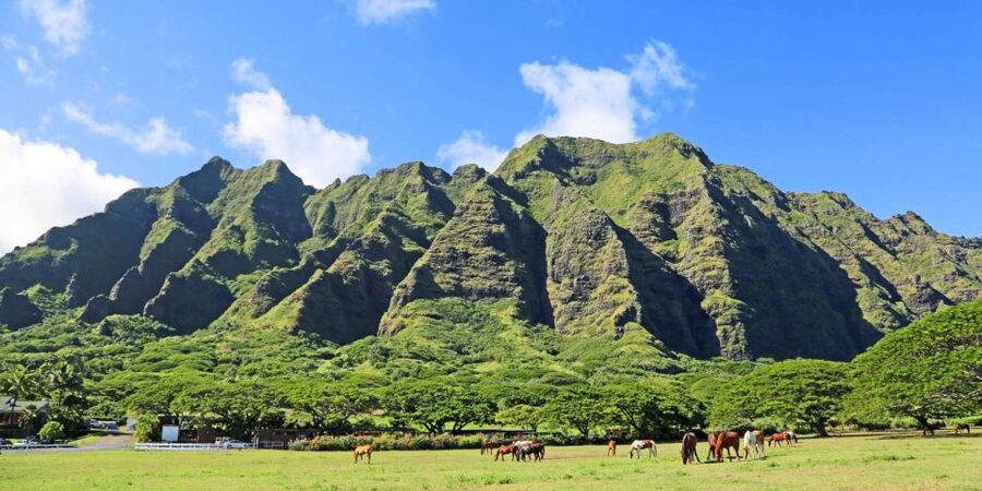 From Waikiki: Circle Island Tour - Waikiki pickup and the long road ahead