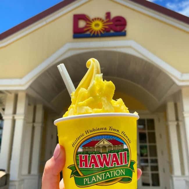 From Waikiki: Oahu Circle Island Tour - Why a circle island day makes sense on Oahu